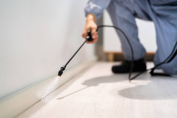 Licensed Pest Control service in Des Allemands, LA - Show Me Pest Control