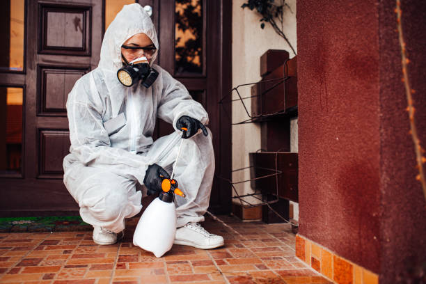 Multi-Unit and Airbnb Bed Bug Protocol in Des Allemands