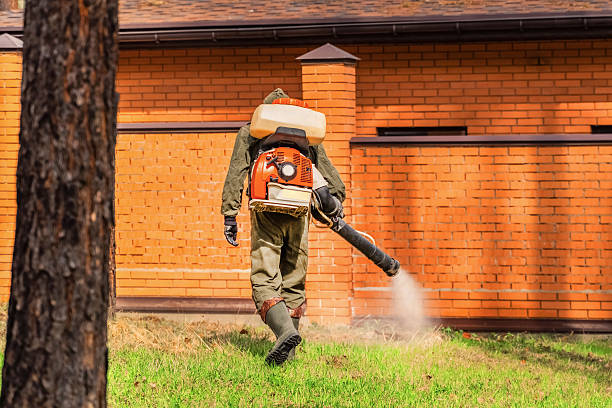 Bed Bug Clearance Verification and Documentation in Des Allemands